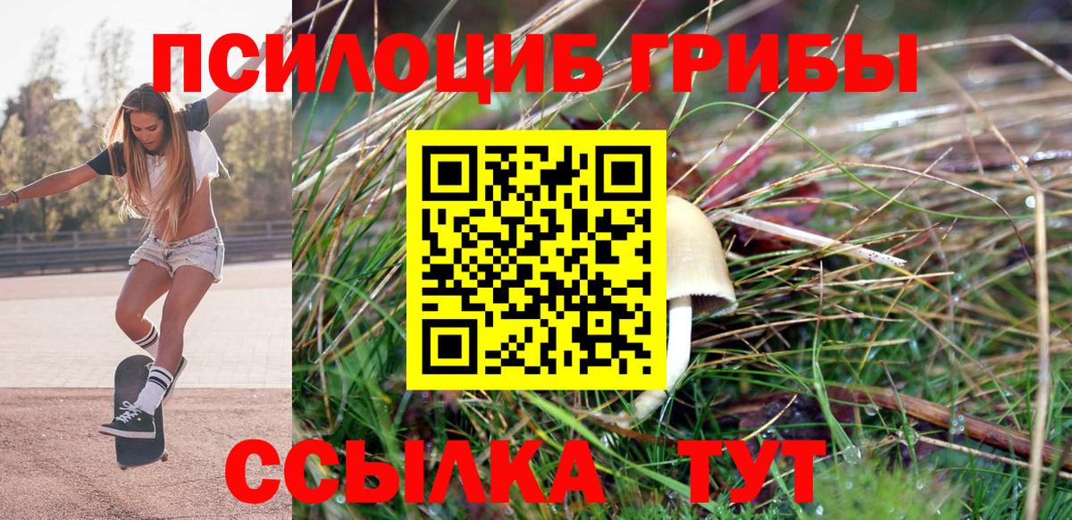 Псилоцибиновые грибы прущие грибы Серов