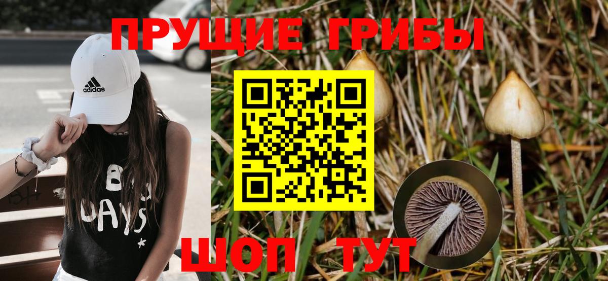 Серов  Псилоцибиновые грибы GOLDEN TEACHER  Вход с VPN 